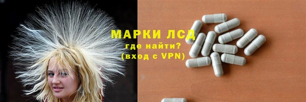 индика Белоозёрский