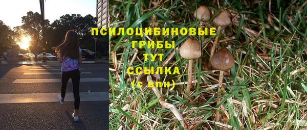 синтетический гашиш Богородицк