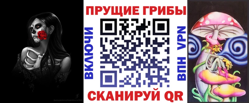 Псилоцибиновые грибы ЛСД купить наркотик Борзя